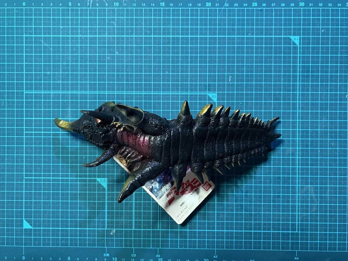 アクベシアヌスミヤマクワガタ標本 3匹セット <1215z昆虫標本