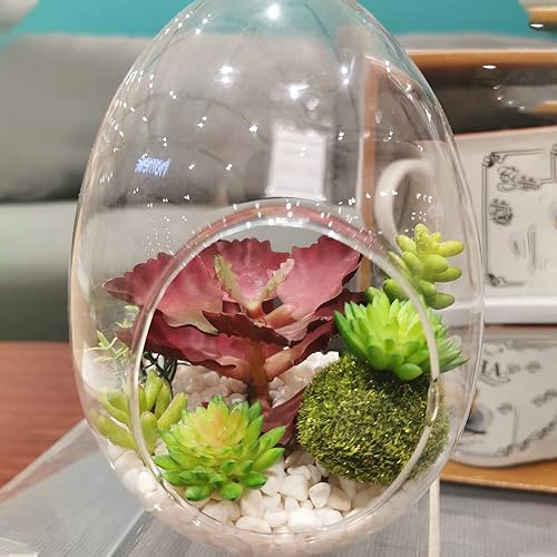 Miniatura 5 de PATIKIL Globe Terrarium - Macetero para plantas de aire, 6.7 pulgadas con forma de huevo de borosilicato, decoración de mesa de vidrio de