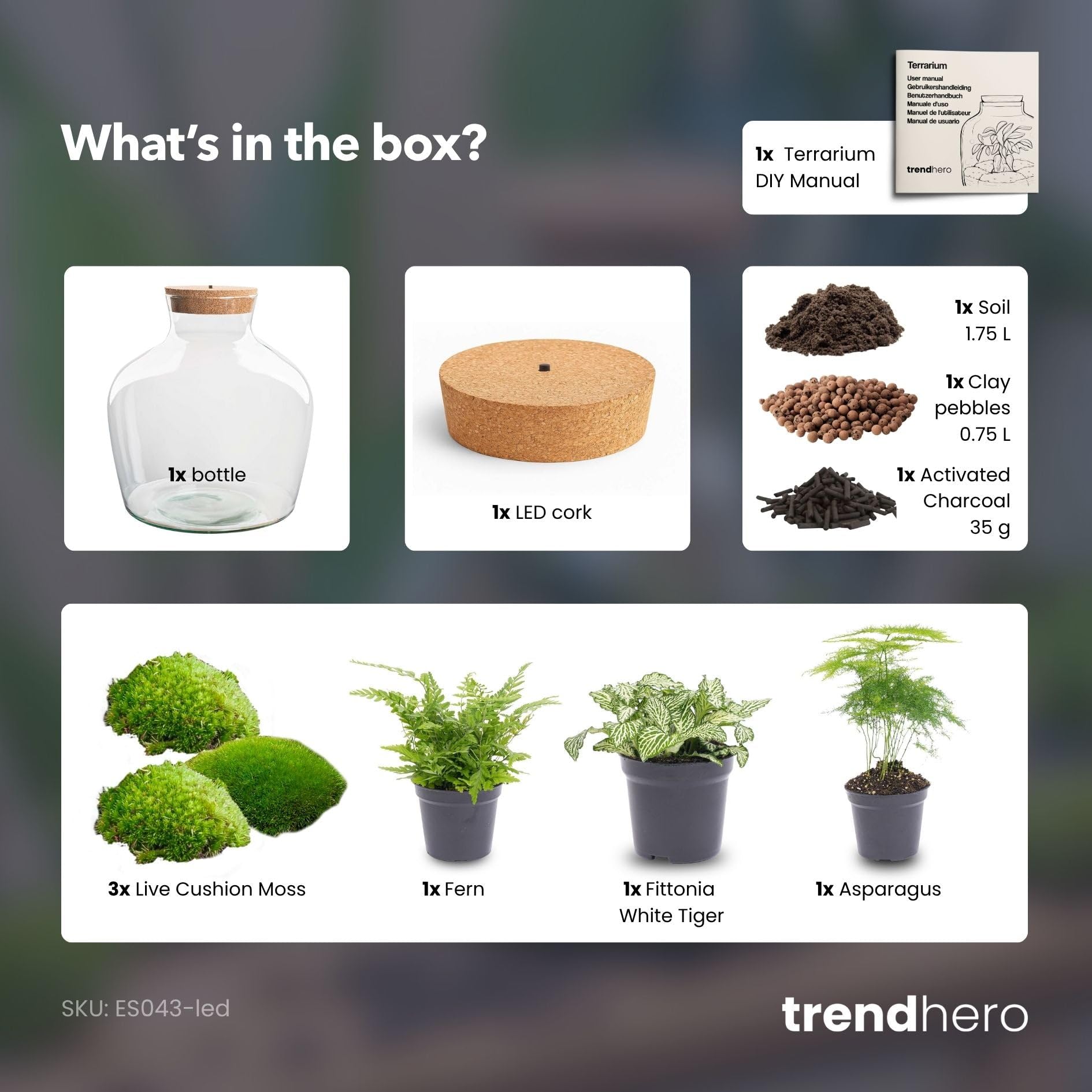 urbanjngl - Fat Joe Terrarium Grün - DIY Kit mit Licht - Pflanzene kosystem - Ø 29 cm, Höhe 30 cm - Ideal für Pflanzenliebhaber und kreative Dekoration