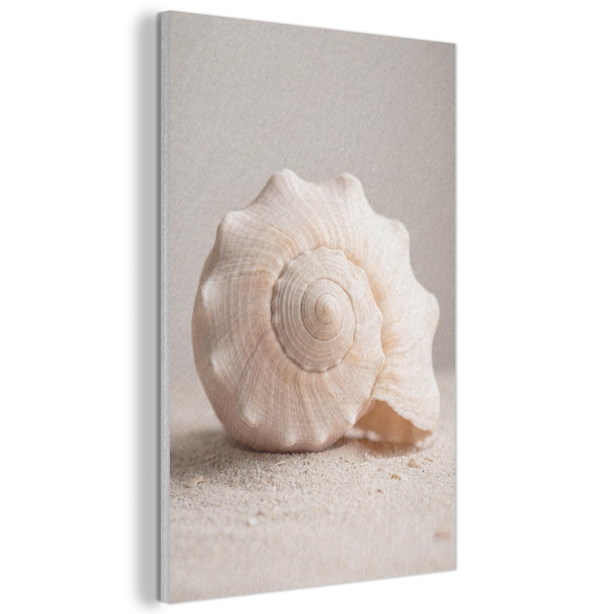 MuchoWow© Felt Panel 40x60 cm House Touch for Living Space Modern Visuals Decoration Wall Art Shell - Detail - Beige