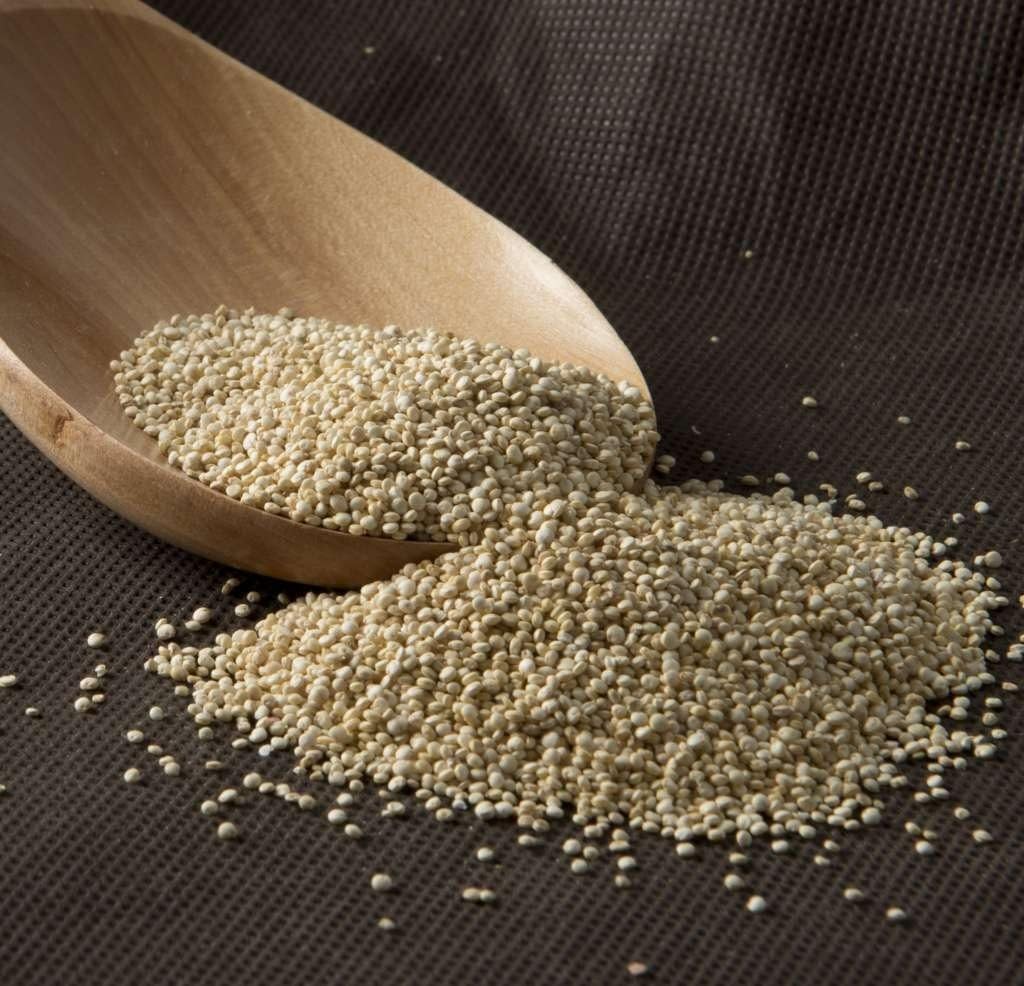 Quinoa blanca ECOLOGICA a granel - 5000