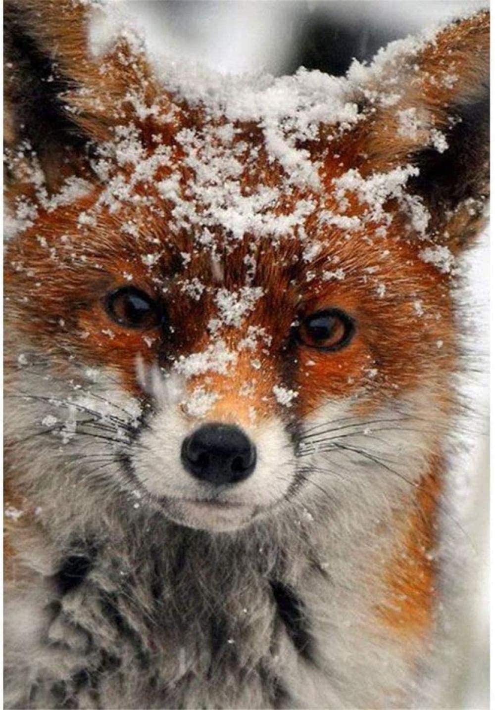 DIY Cross Stitch Needlework Kits for Adults Fox Animal in The Snow 11CT Stamped Cross-Stitching Supplies Kits Printed Pattern Fabric Embroidery Needlepoint Crafts 16x20 inch