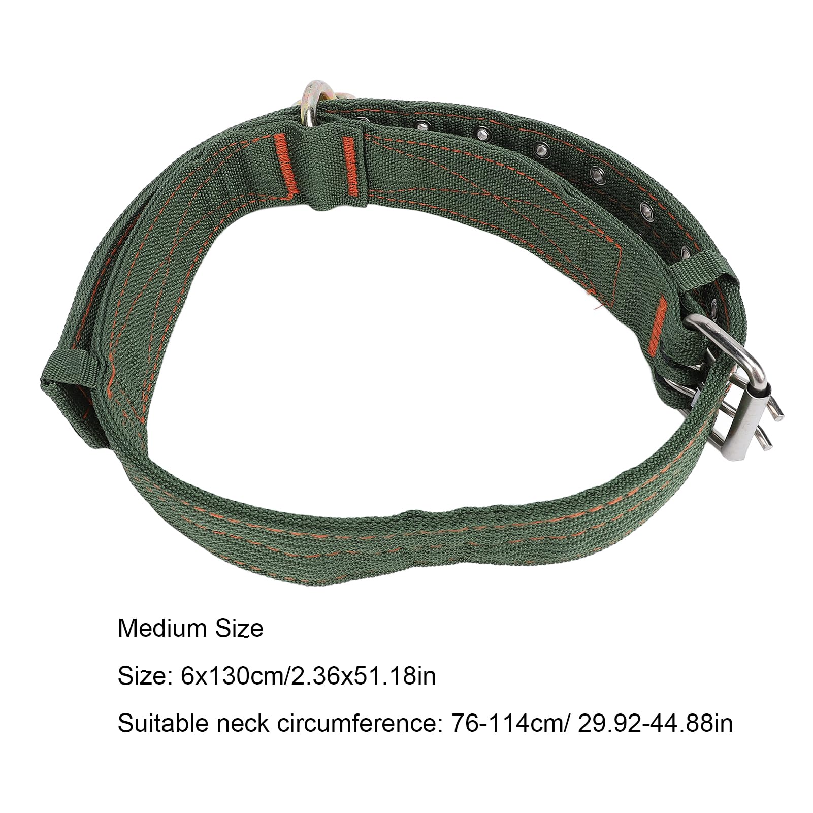 Collier pour bovins en Nylon épais avec Boucle en métal et chaîne de Traction pour Chevaux, Chiens et Animaux de Ferme (Taille Moyenne)