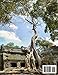 Angkor Wat Temples: A Coffee Table Picture Book, An Ideal Gift for Travel and Tourism Enthusiasts, Promoting Relaxation and Meditation.