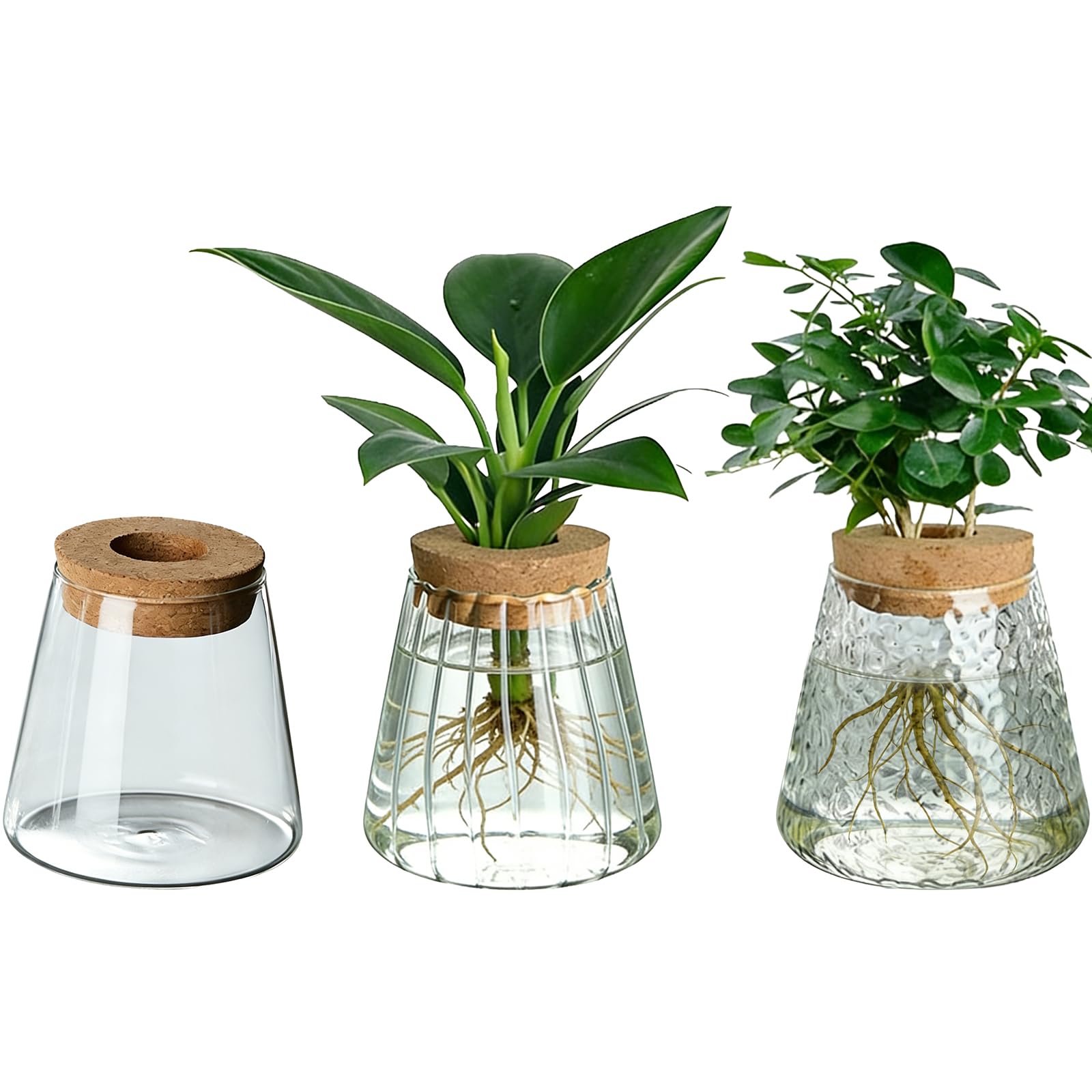 3 Pcs Glass Plant Propagation Station Kit, 3.74 x 3.74 Inch Volcanic Shaped Plant Terrarium Glass Planter with Cork Lid, Clear Borosilicate Glasses Vases for Plants, Home Decor, Office Desks