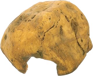 SEWOART Réptil Escondendo Buraco Decoração Criativa Réptil Rampa Plataforma De Frade Para Tartarugas Aquáticas Tartaruga Esconder Habitat Terrário Acessórios Sapo Habitat