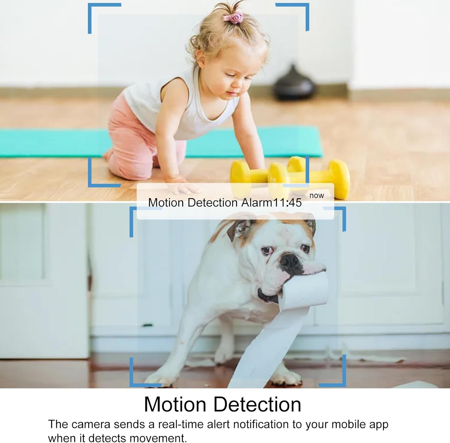 Motion detection alarm notification on screen with images of a baby and a dog