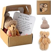 Worry Bear Hug in a Box, A Little Pocket Bear Hug, Mini Plush Bears in Box, Get Well Soon Gifts for kids, Pocket Bears with Inspirational Card, Positive Gift for Women Men Valentine's Day Christmas