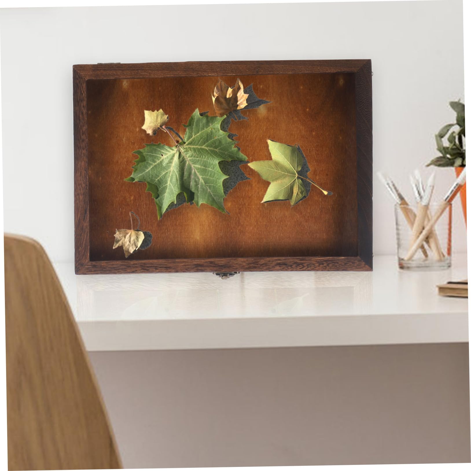 Mobestech Scatola per Conservazione Farfalle e Campioni di Visualizzazione Insetti in Legno Custodia Vintage Coperchio Trasparente per Gioielli e Artigianato