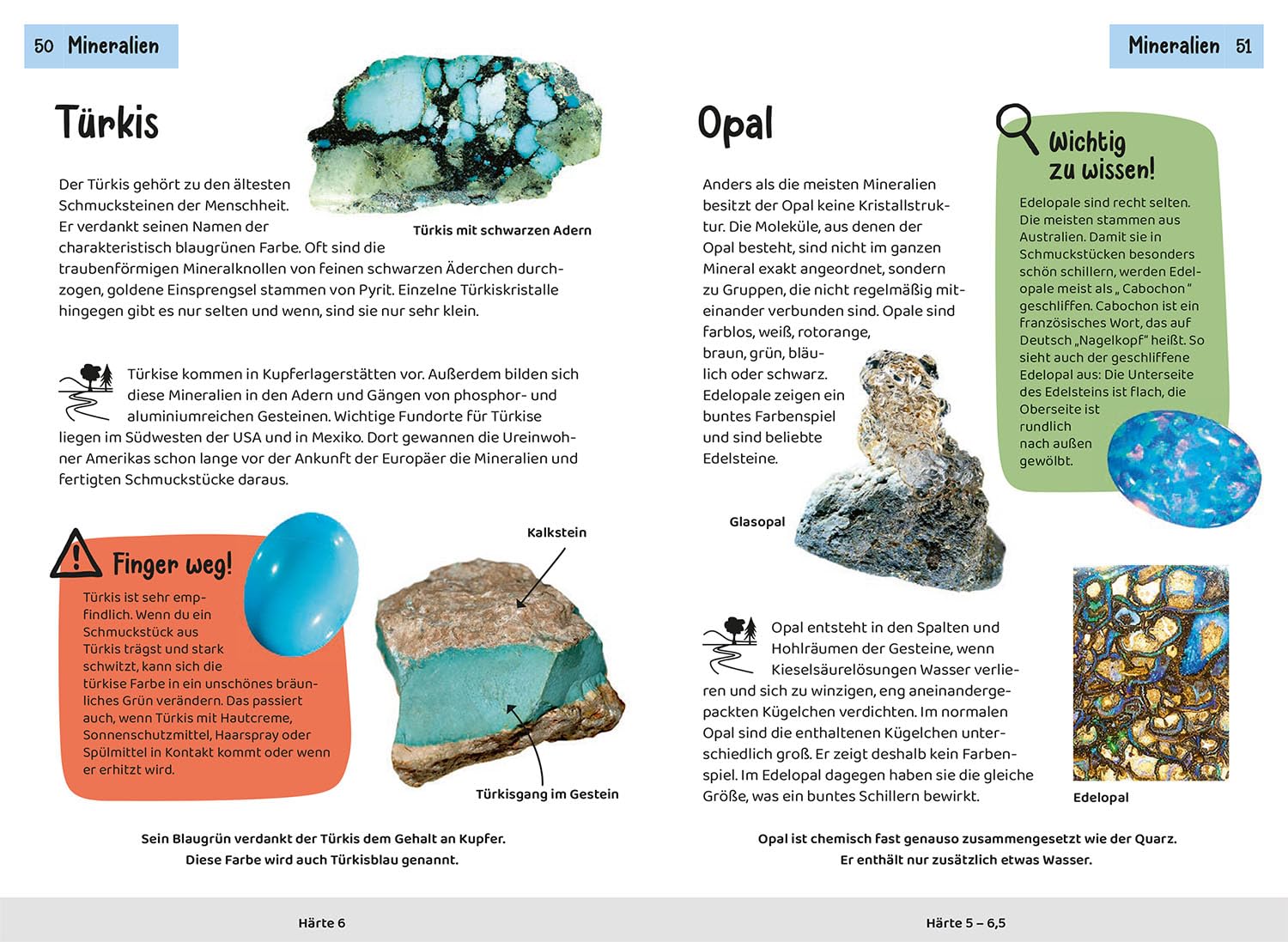 Welcher Stein ist das? Kindernaturführer: 85 Mineralien, Gesteine, Fossilien. Richtig Bestimmen, Spaß in der Natur, die Welt der Mineralien und Gesteine entdecken.