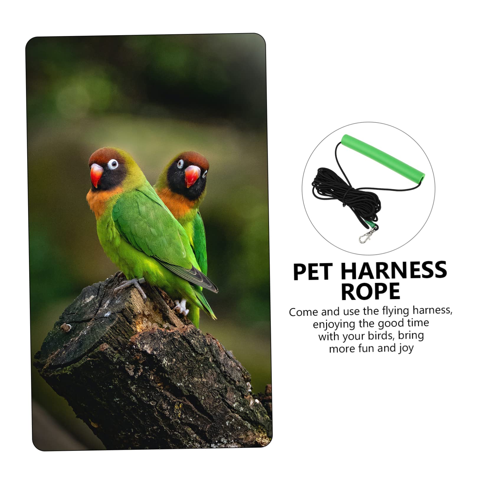 Hohopeti 2piezas Arnés De para Pájaros Cuerda De Entrenamiento De para Aves para Paseos Periquitos Cacatúas y Hámsters