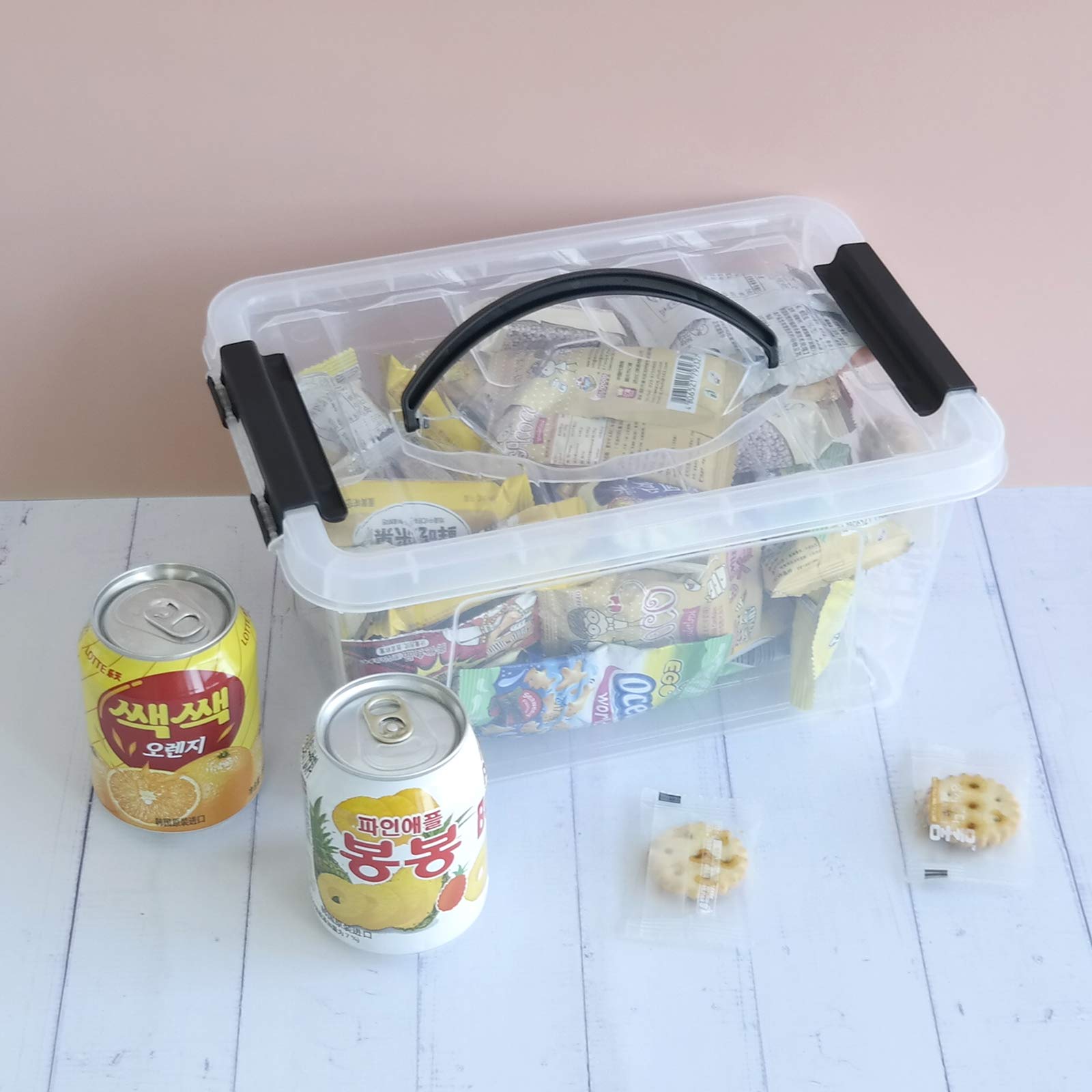 Farmoon 5 L Aufbewahrungsboxen Aus Kunststoff Mit Deckel, 6 Packungen, Transparent