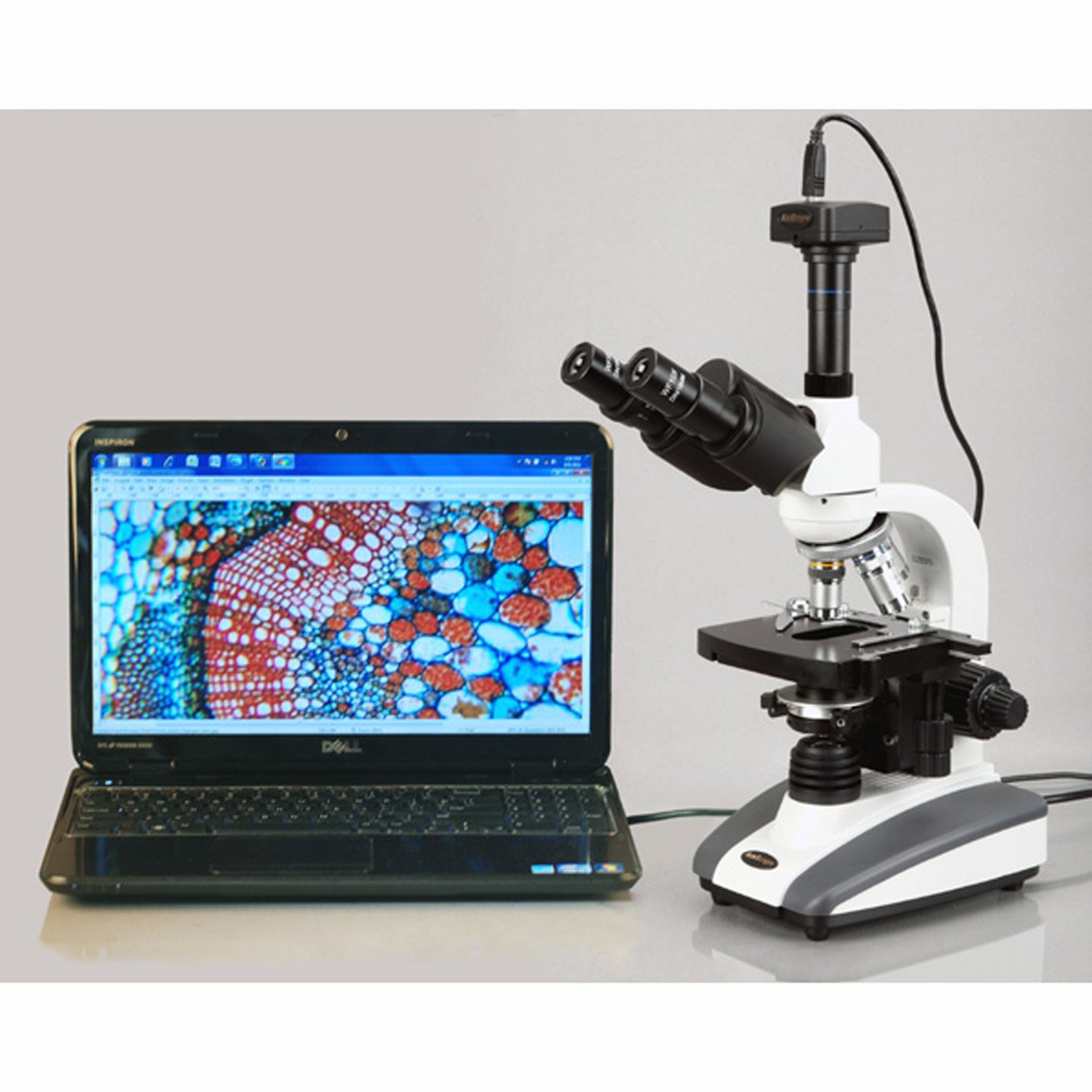 AmScope t360 C LED trinocular Compuesto biológica microscopio 40 x -2500 X