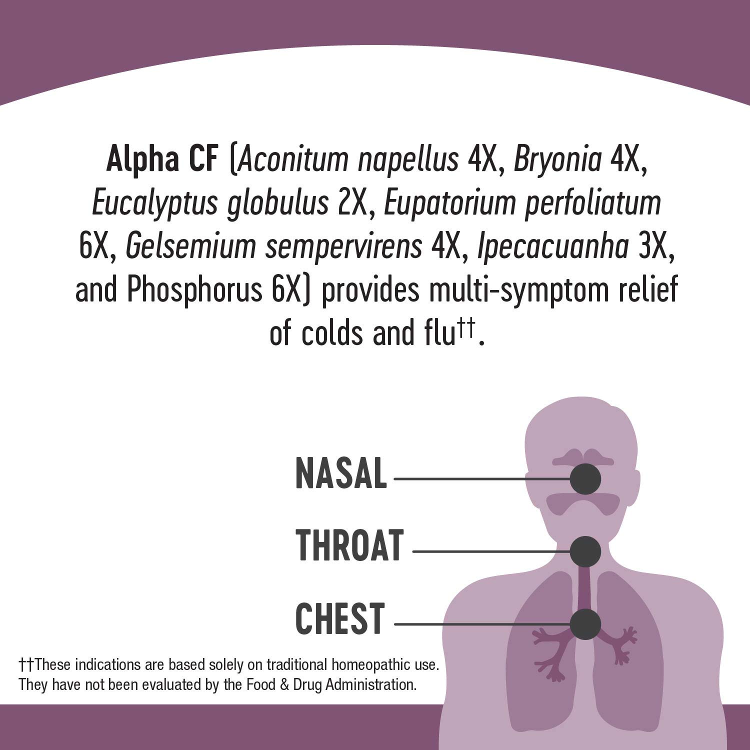 Buy Nature's Way Umcka Cold+Flu, Fever, Sore Throat, Cough, and