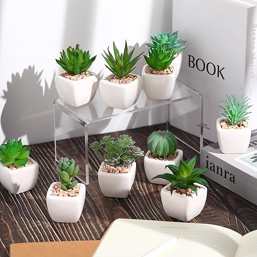 Miniatura 4 de 12 piezas de suculentas artificiales en macetas, suculentas falsas, mini suculentas artificiales para decoración del hogar, pequeñas plantas falsas