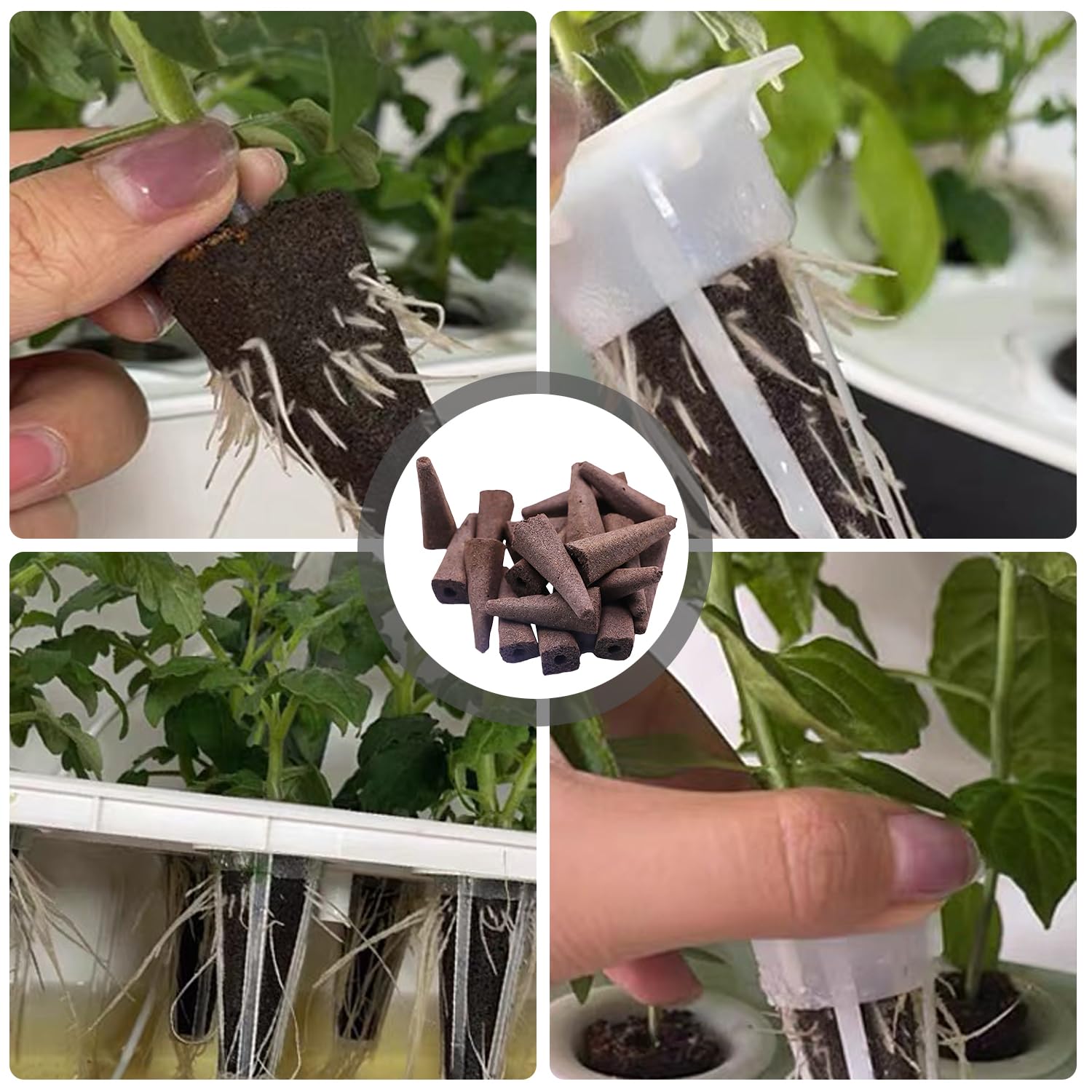 50 spugne da allevamento di ricambio, idroponiche, manicotti di ricambio per la crescita delle radici, spine in spugna per sistemi di coltivazione idroponici, per interni idroponici, kit da giardino