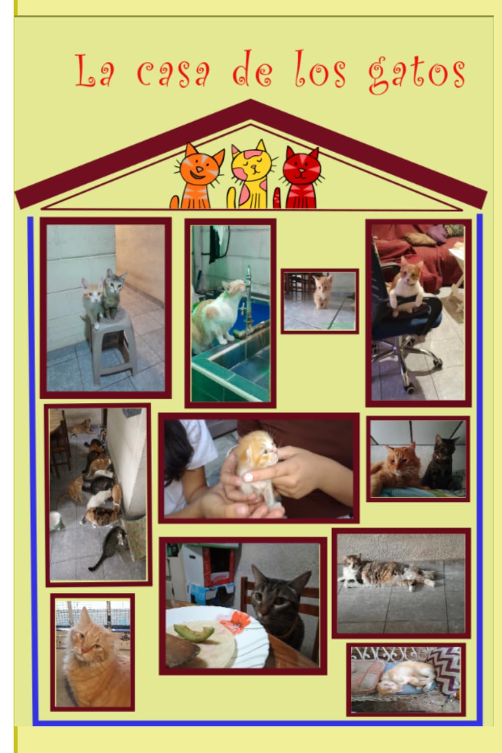 La Casa de los Gatos
