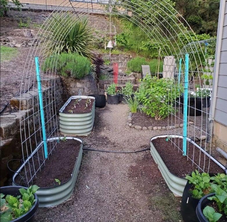 Amazon.co.jp: 菜園プランター、大型プランター 底なしプランター