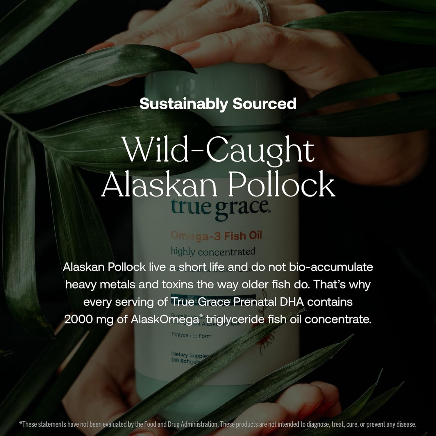 True Grace Prenatal DHA - 60 Softgels - 1400mg of DHA & EPA - for Pre-Conception, Pregnancy & Lactation - Wild Caught & Sustainably Sourced - Gluten Free - 30 Servings - Image 4