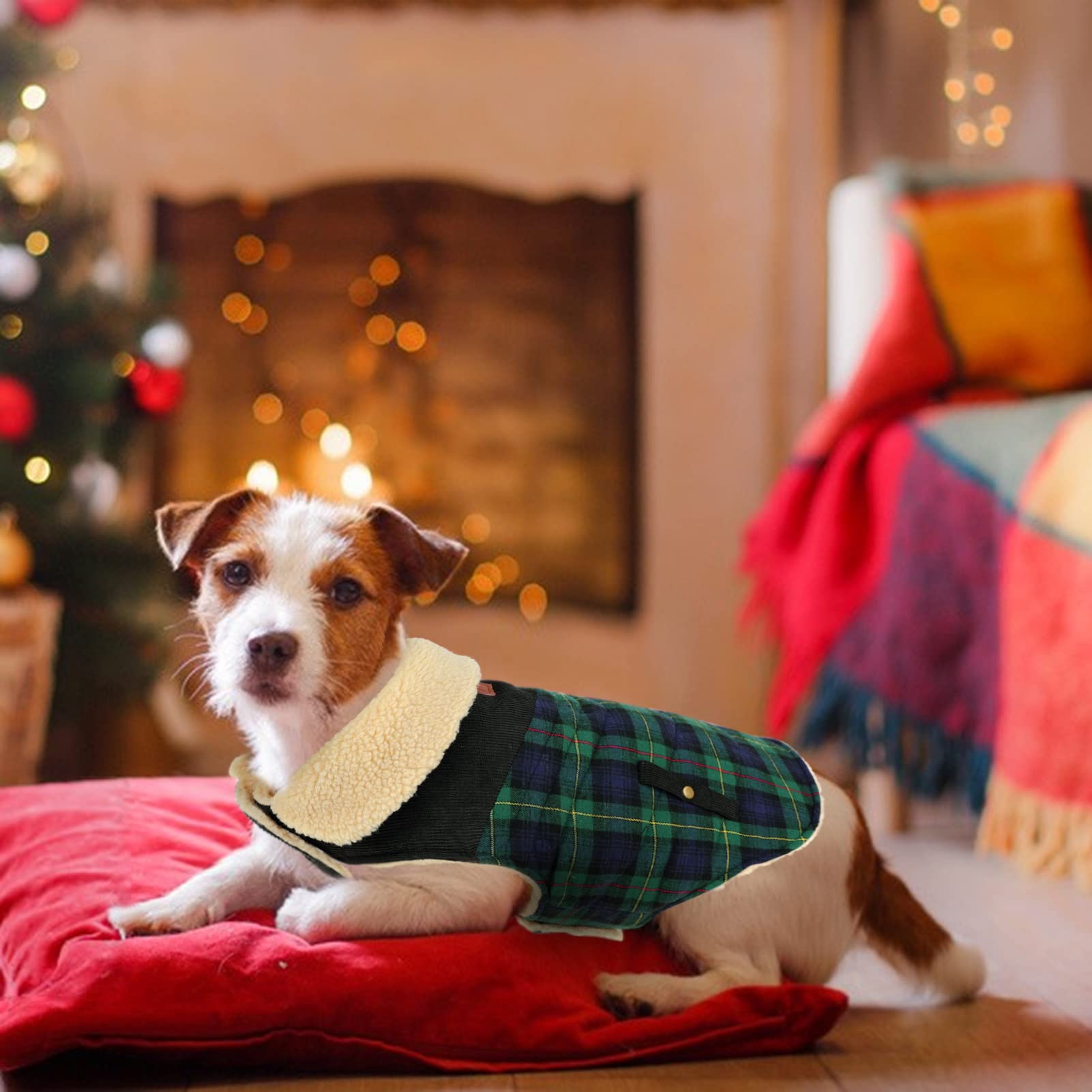 CITÉTOILE Caldo Cappotto Cane Plaid Classico, Cappotto per Cani Fodera in Pile, Giubbotto Caldo per Cani di Taglia Piccola/Media, Giacca Gilet Invernale per Cani con Foro per Imbracatura, Verde, M