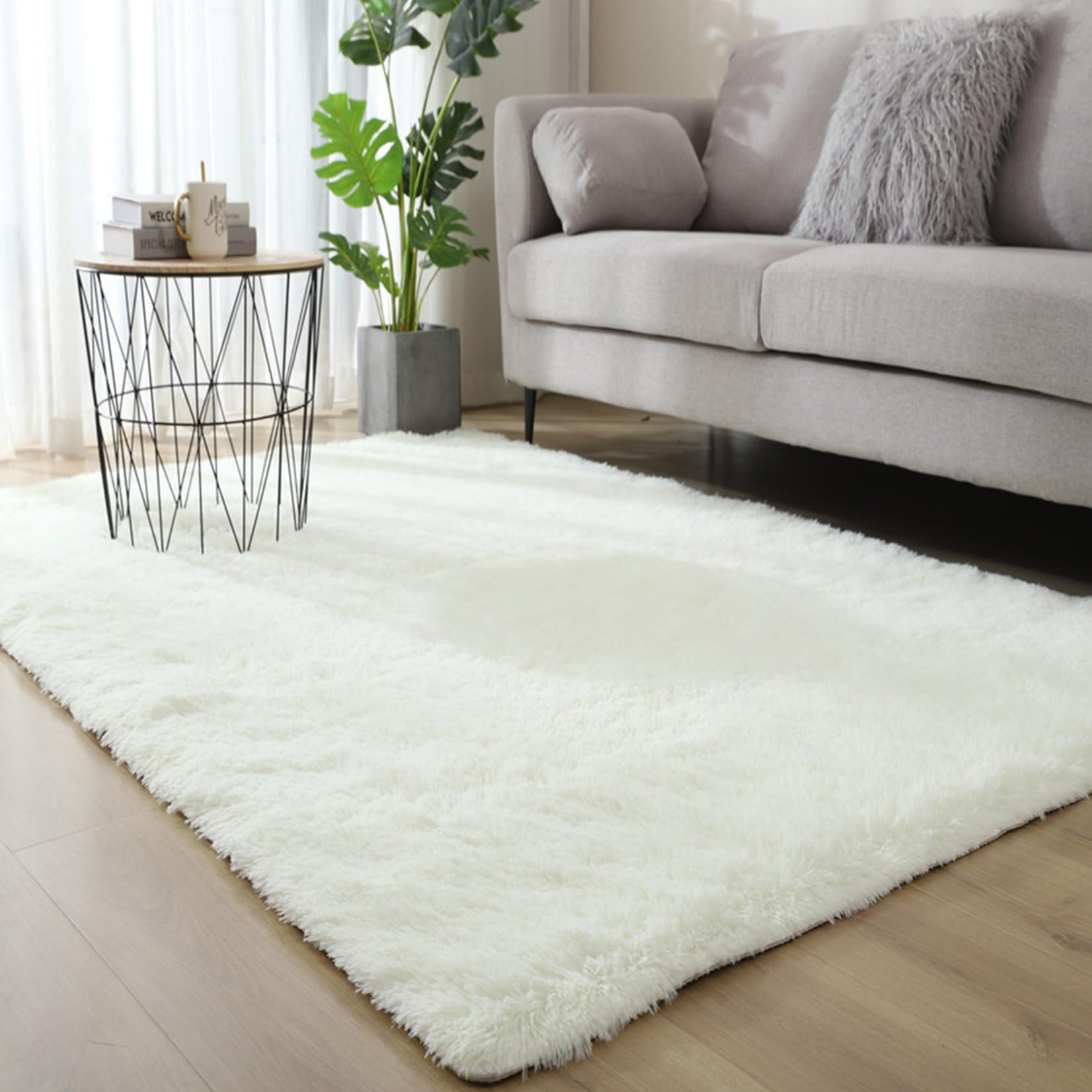 Tapis de Chambre 80 x 300 cm Antidérapant, Doux Au Toucher Lavable Tapis Intérieur Extérieur Facile à Nettoyer pour Salon, Chambre à Coucher, Bureau, Blanc