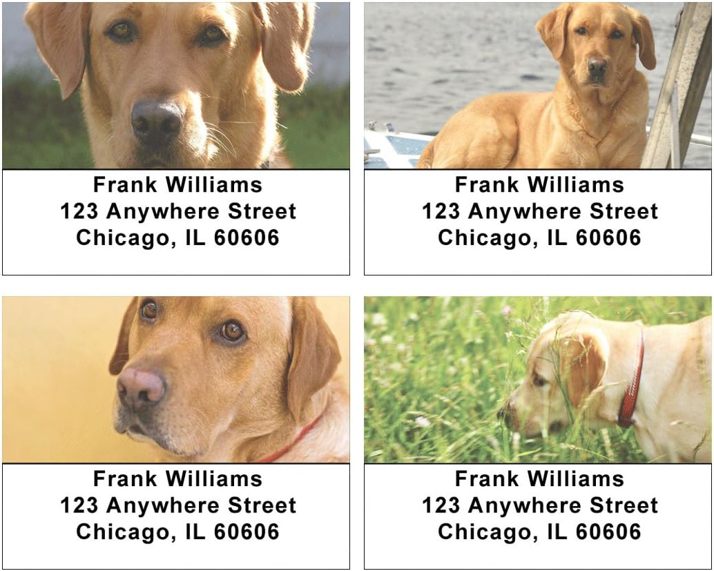 Yellow Labs Address Labels