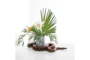 Noah Gundersen Vinyl: White Noise