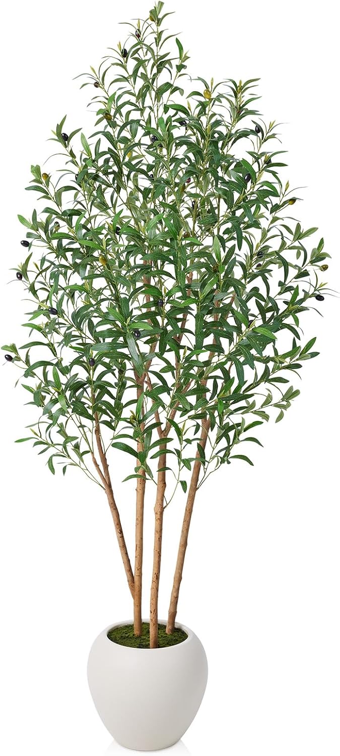 VeriNatural 6FT Olive Trees Artificial Indoor, Faux Olive Tree with Natural Wood Trunk, Lifelike Fake Plant with White Planter Included, Realistic Artificial Plants for Home Office Living Room Decor