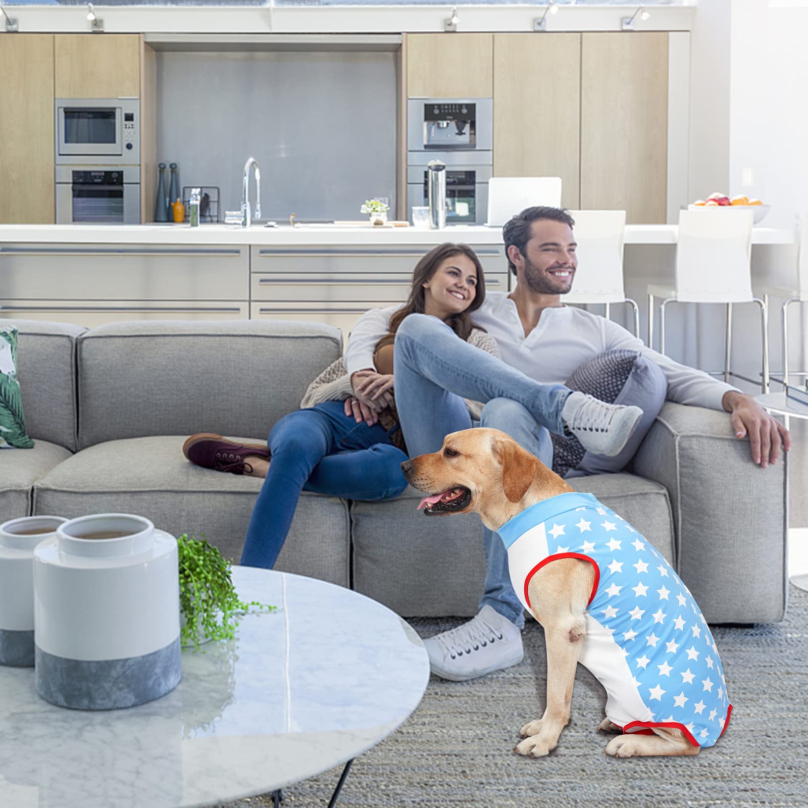 Tuta Recupero Cane Post Operatoria - Body Chirurgico Anti-Leccato Rosa Taglia M - Foto 2