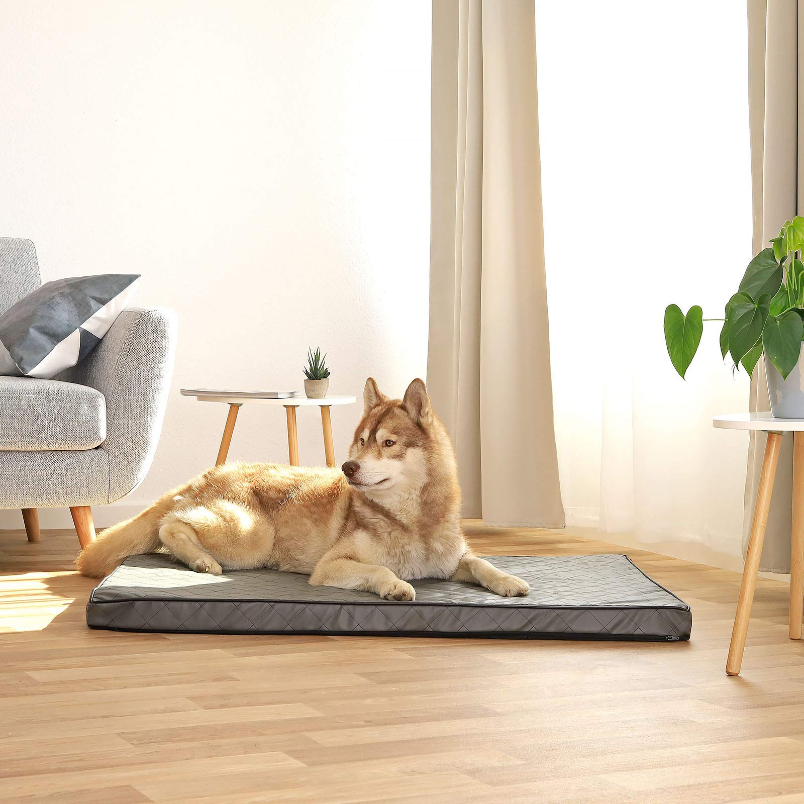 lionto Colchoneta Ortopédica para Perros con Memory Foam, (XL) 118x80 cm Gris
