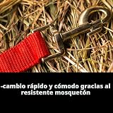 Ver la foto 2