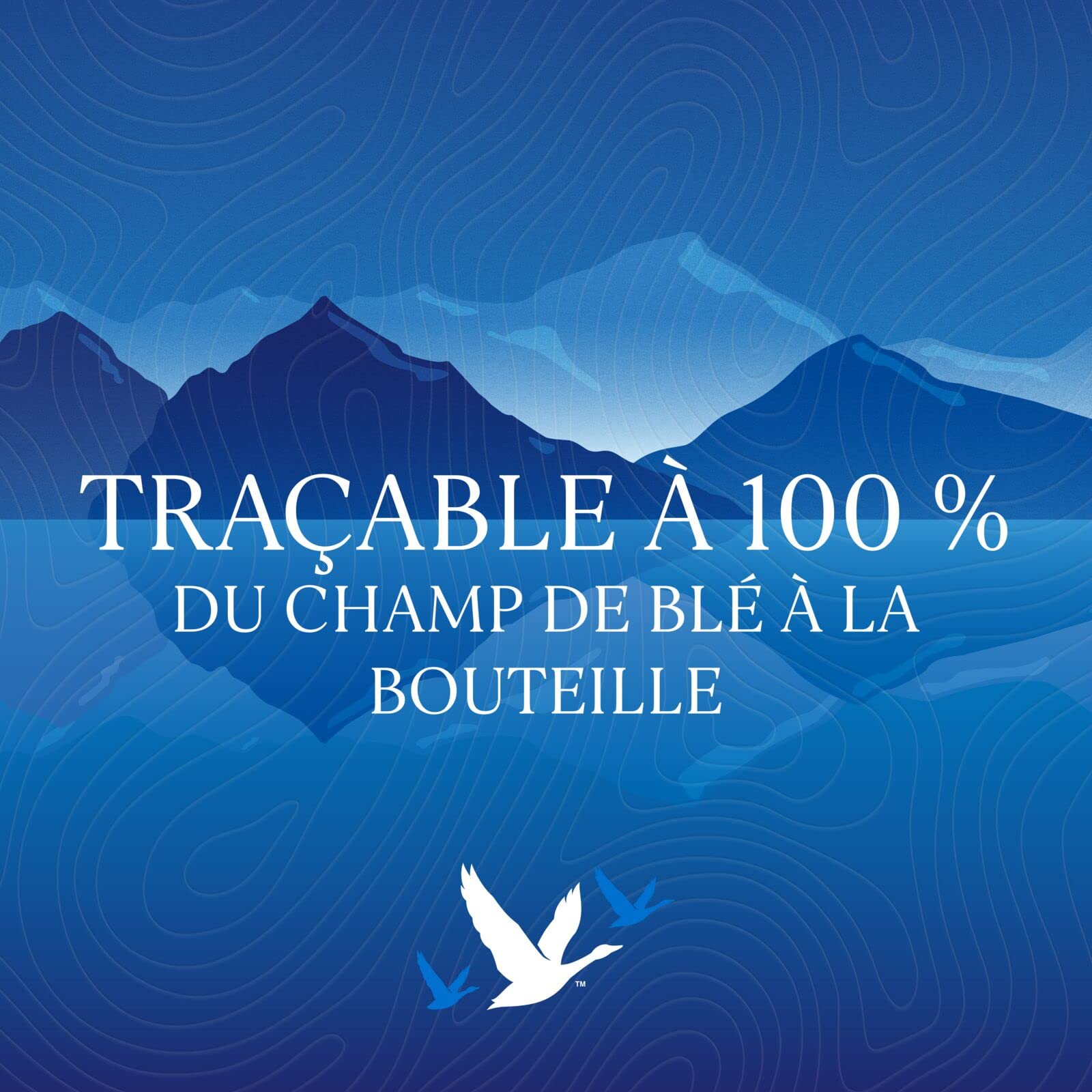 Grey Goose 1, 75 L