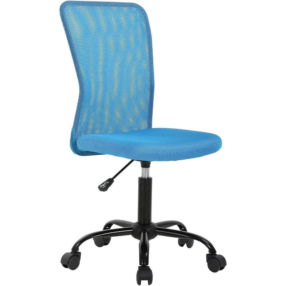 Small Mesh Desk Chair for Home Office, Mid Back Adjustable