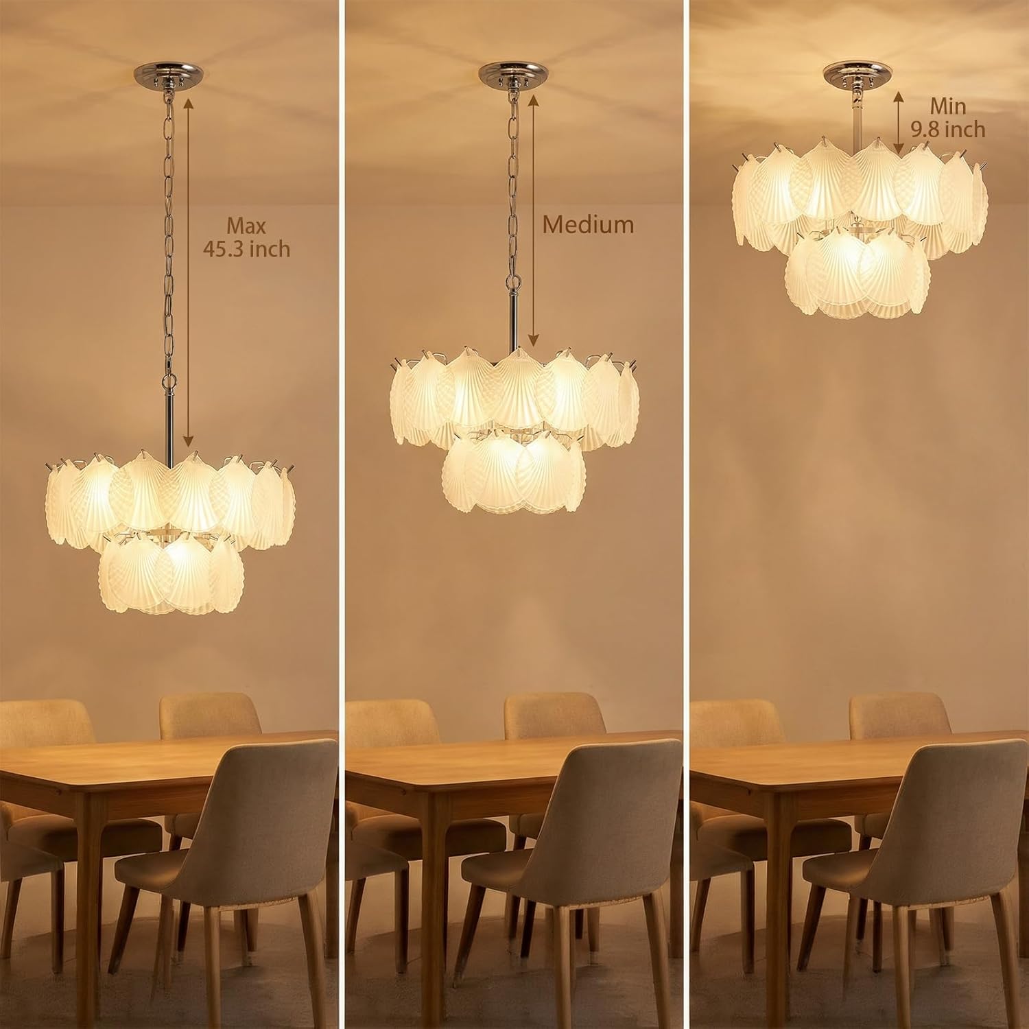 Round Seashell Chandelier 5-Light 2 Layer Glass Shell Chandelier Adjustable Height Art Deco Coastal Ceiling Light Fixture for Dining Rooms Living Room