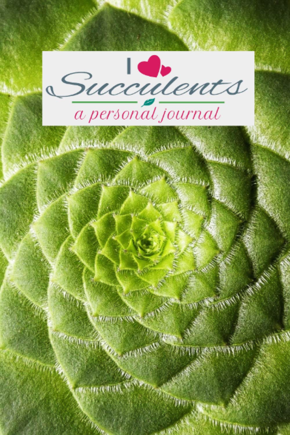I love Succulents: a personal journal