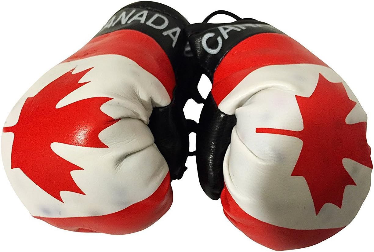 Flag Mini Small Boxing Gloves to Hang Over Car Automobile Mirror – Americas(3-Pack, Country: Canada)