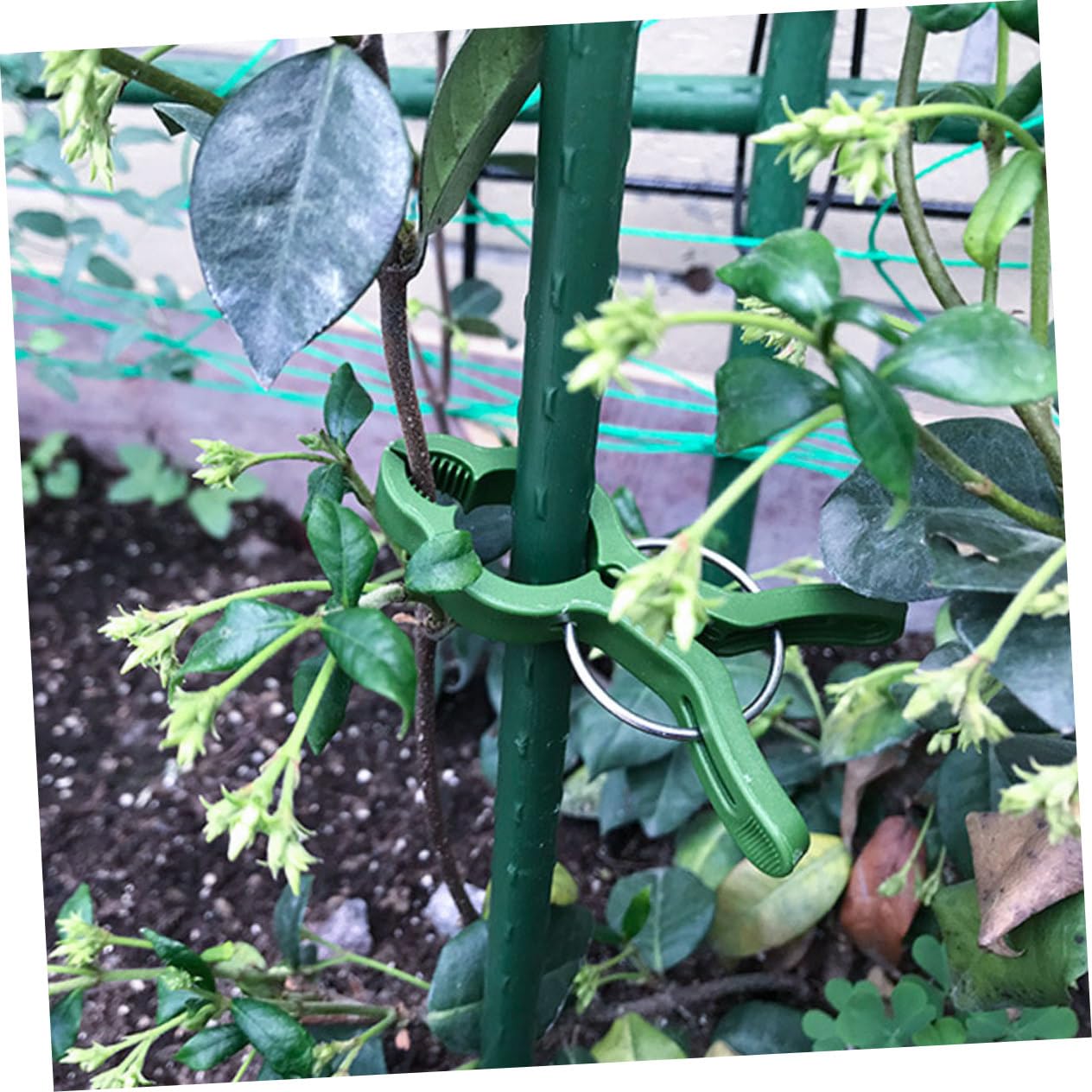 50 Stück Gartenclips Pflanzen Pfingstrose Aufstecksieb für Töpfe Gartenspalier Blumenrankenclips Grün Plant Clips pflanzklammer tomatenclip Anlage Orchideenranke Wein-Clips Plastik