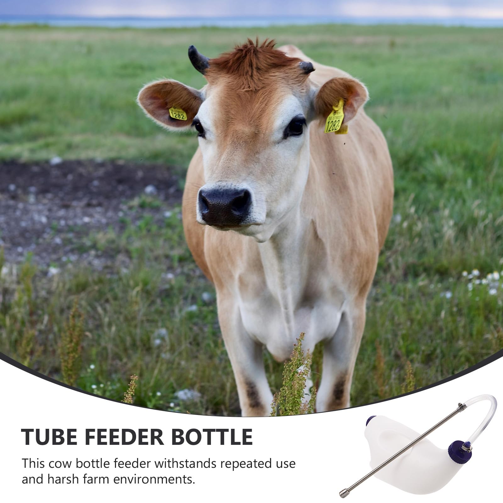 Gatuida Biberon pour veaux : biberon de lait de remplacement pour brebis de 4 L, abreuvoir pour veaux, accessoire d’alimentation pour bétail et vaches.