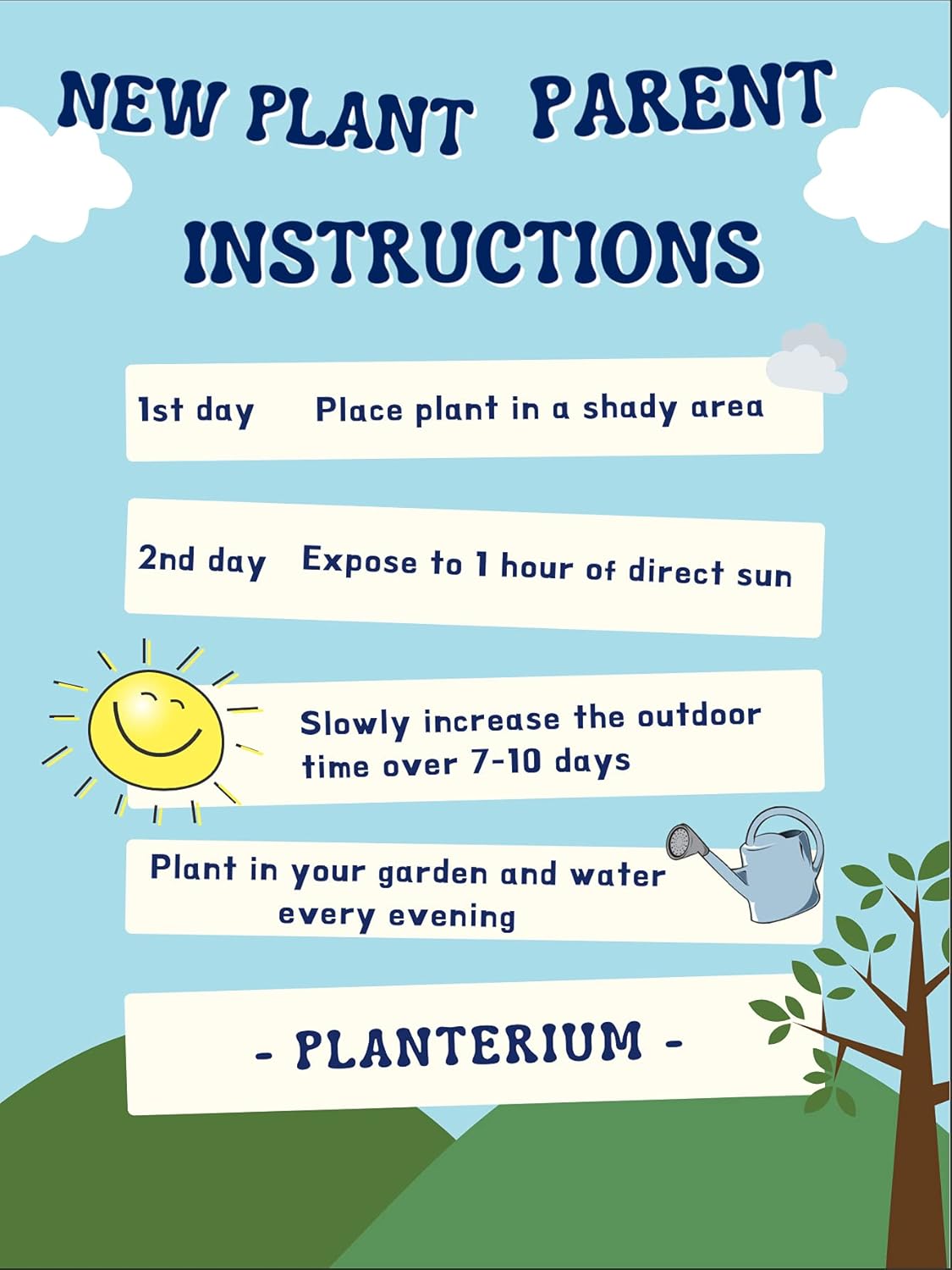 Planterium's Live Hot Jalapeño Pepper Plants | 3 Pack | 5" - 10" Tall