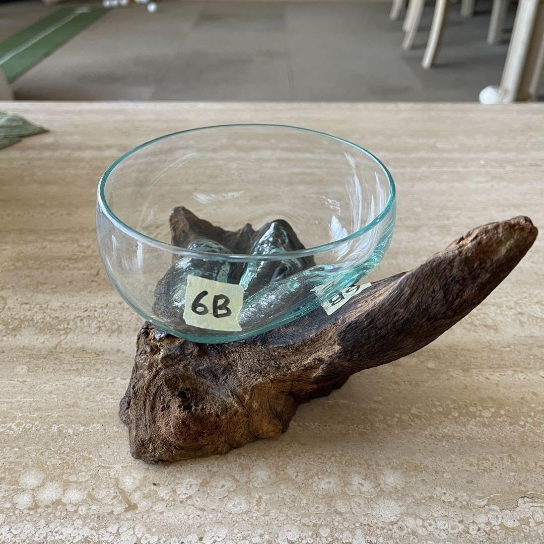 ??????? Driftwood Glass Bali Terrarium Moss, m57147811561
