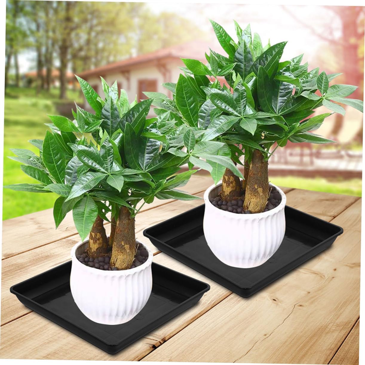 BESPORTBLE 12pcs Heavy Duty Plastic Plant Saucers for Use Drip Trays for Flower Pots Versatile Plant Trays for Potted