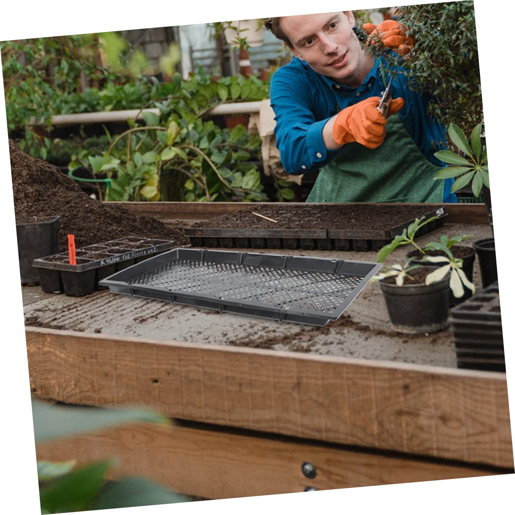 3pièces Plateaux De Germination Plastique pour Semis Trays Multi-cavités pour Hydroponie Et Culture De Pousses Noir