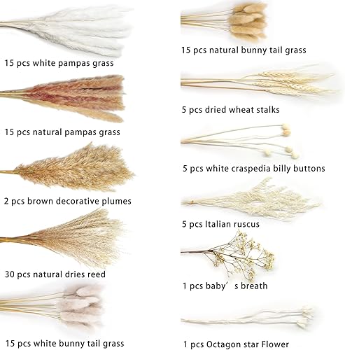 Miniatura 3 de Total de 104 piezas  11 decoraciones de hierba de pampa seca hierba pomposa blanca cola de conejo flores secas hierba de junco hierba pompass de 17