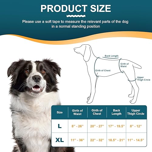 Miniatura 6 de Rodillera para perro para pierna trasera desgarrada ACL con estabilizador de bisagra ajustable, soporte de espalda de perro para osteoartritis,
