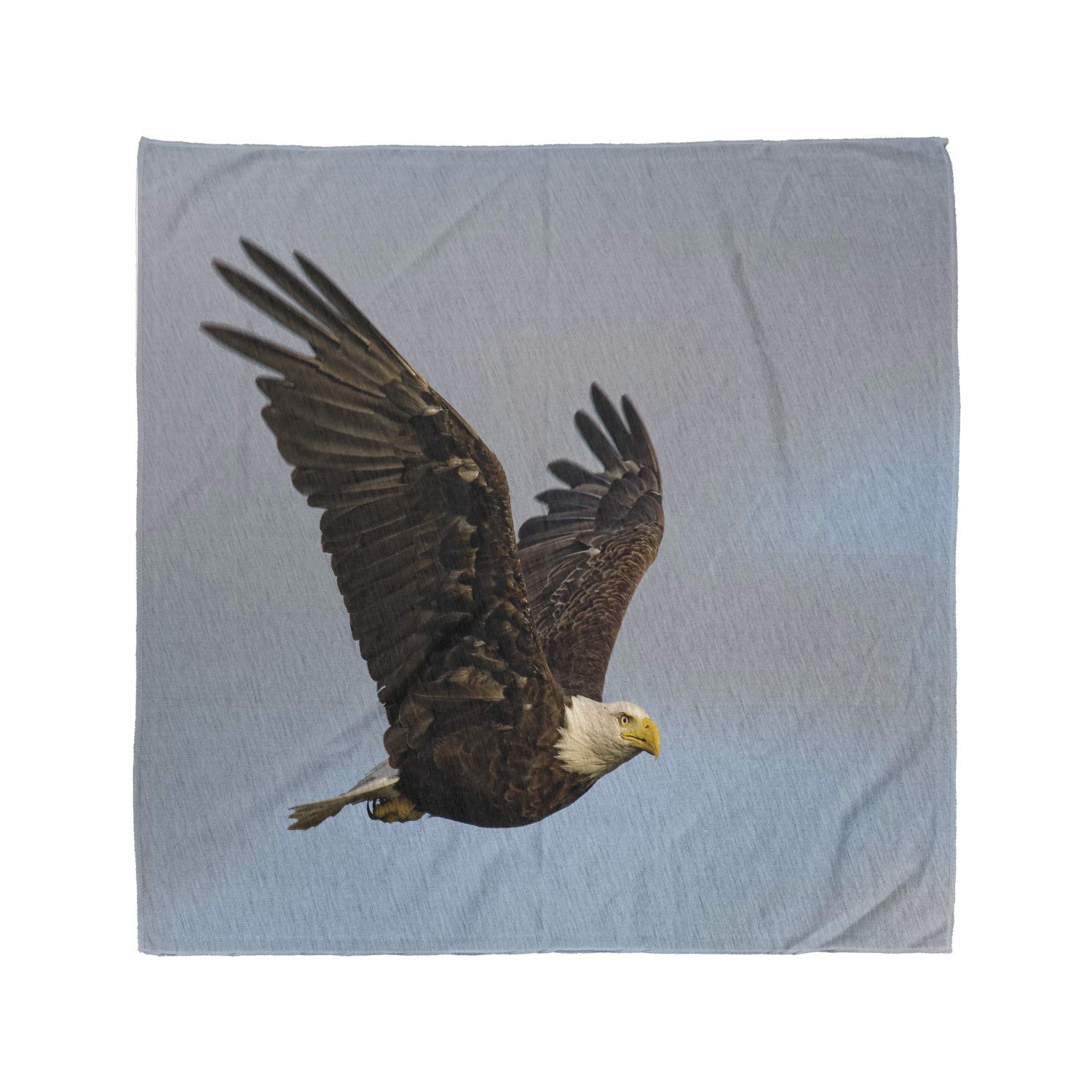 Ambesonne Eagle Bandana, Hunter Bird in Open Sky, Unisex Head and Neck Tie