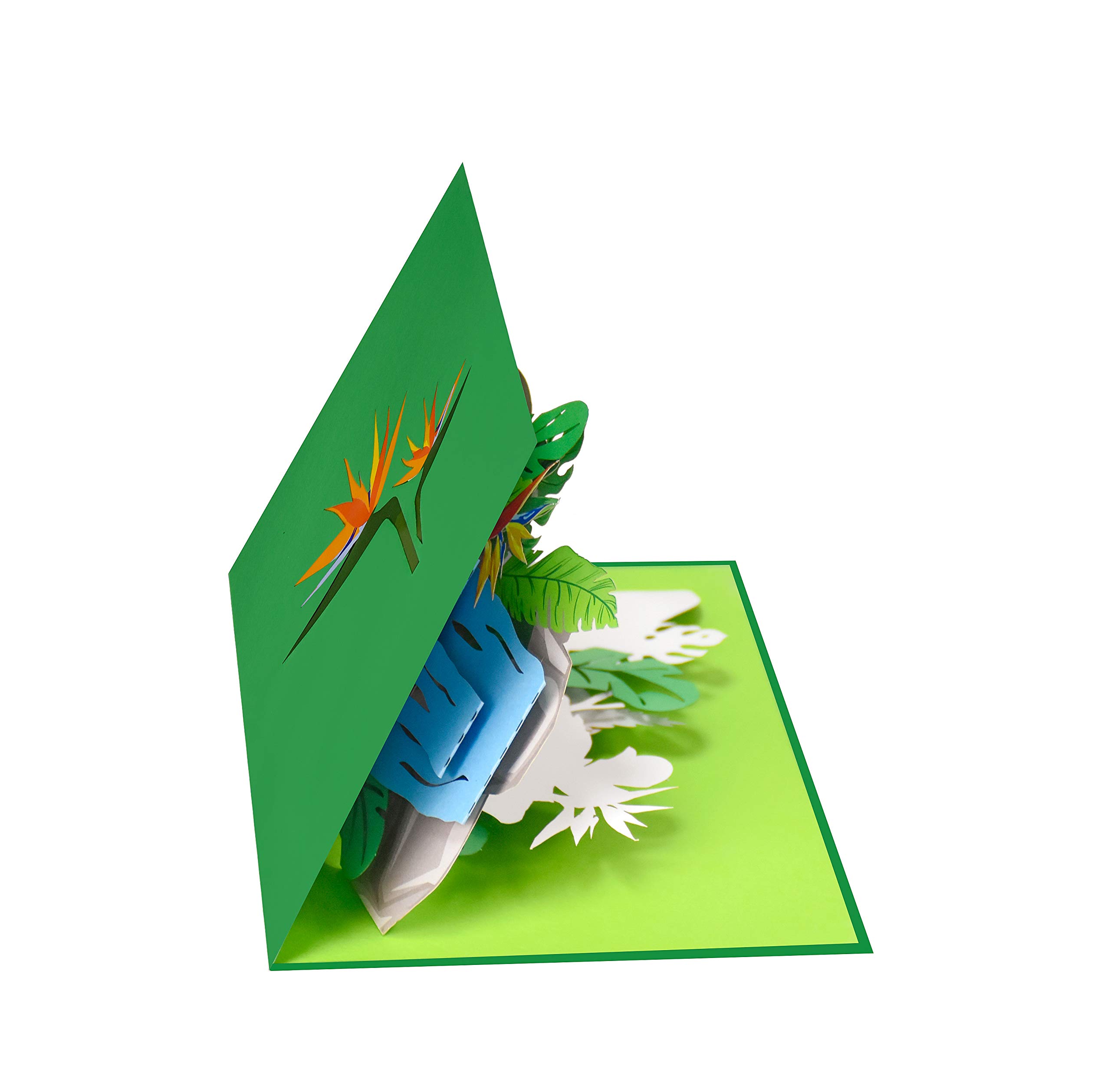 Tarjeta Pop-Up 3D Cascada Tropical PopLife - Para Todas Las Ocasiones