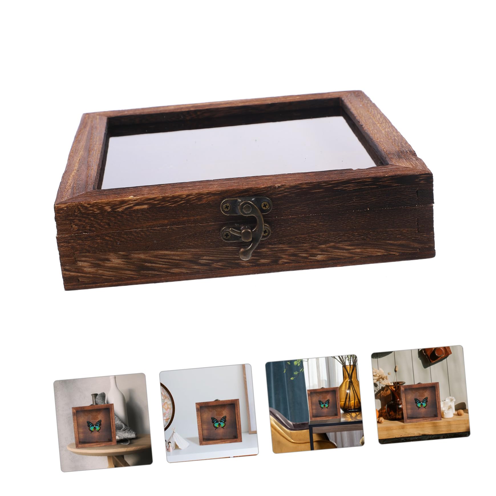 TOYANDONA Scatola Espositore per Insetti Ganci in Legno e Acrilico, Stile Retrò, Grande Capacità, Portatile e Sicura per Collezioni di Farfalle e Altri Insetti