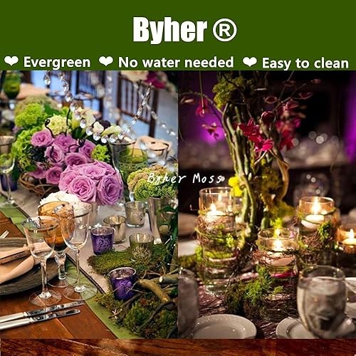 Miniatura 6 de Byher 92926 - Musgo de bosque, verde fresco, 8 onzas (200 pulgadas cúbicas)