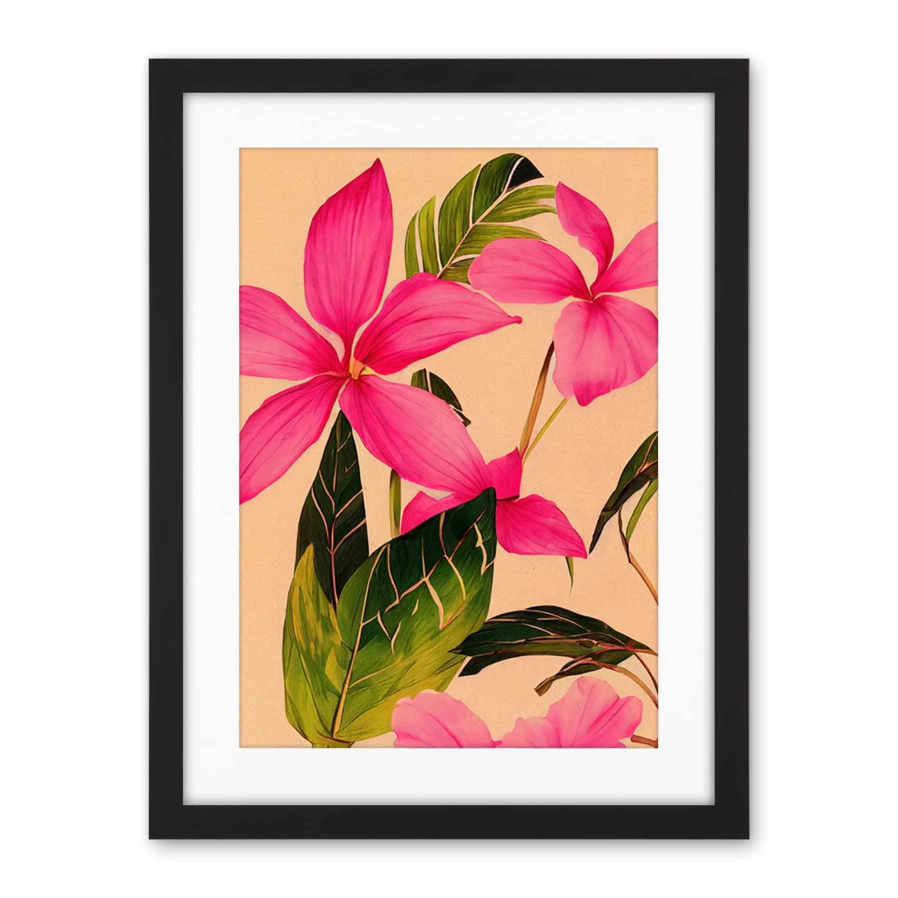 Wee Blue Coo Exotic Pink Plumeria Flower Plant Blooms Watercolour Pencil Illustration Artwork Framed Wall Art Print 18X24 Inch