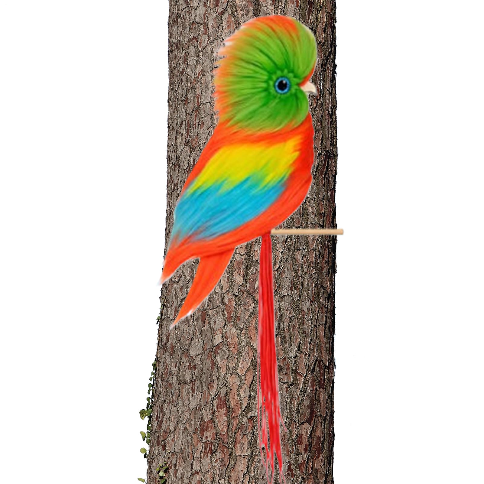 Oiseaux décoratifs drôles l'idée cadeau idéale pour un anniversaire ou des vacances